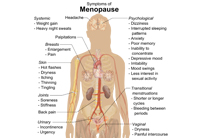 Management of Menopausal Symptoms